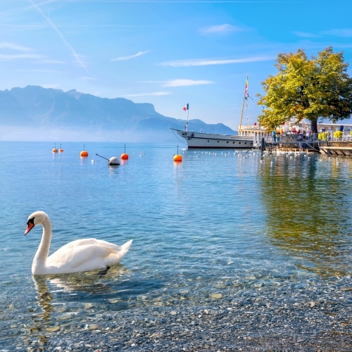 AdobeStock 184182176500x500