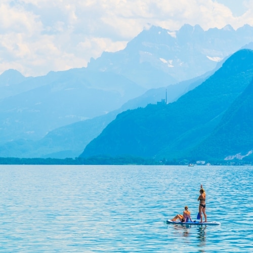 AdobeStock 234842579500x500