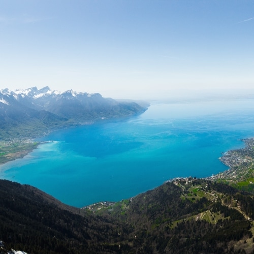 AdobeStock 303495484500x500