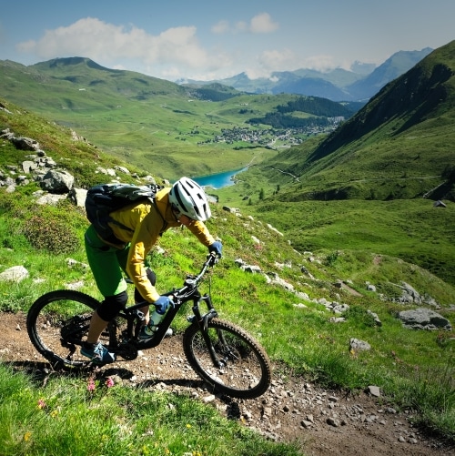 AdobeStock 367216546500x500