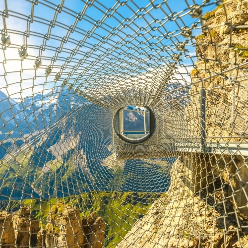 AdobeStock 393147574500x500