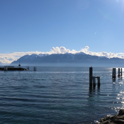 AdobeStock 486689166500x500